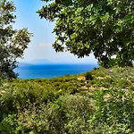 Evgenia Asini (Messenia)