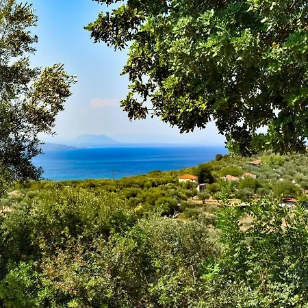 Evgenia Asini (Messenia)