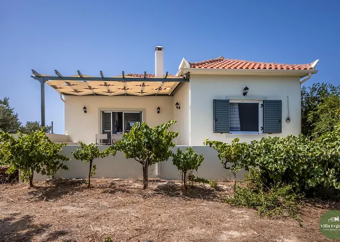 Evgenia Holiday home