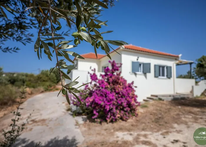 Evgenia Дом отдыха *